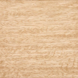 Limba