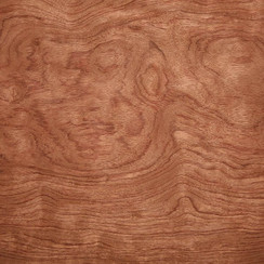 Bubinga Muschel