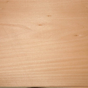 Red Alder