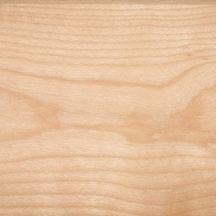 Yellow Birch